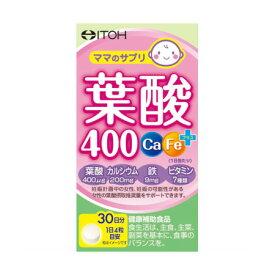 井藤漢方薬 葉酸400 Ca・Feプラス 120粒 【2個セット】(4987645490822-2)