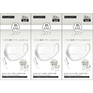 y3ZbgzʃVNv[c}XN 傫 zCg 30(4570084523659-3)