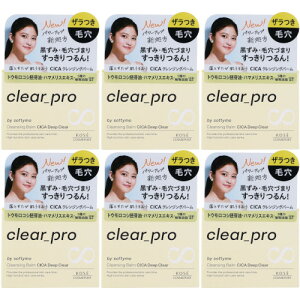 \teB NAv NWOo[ CICA fB[vNA 90gy6Zbgz(4971710571165-6)