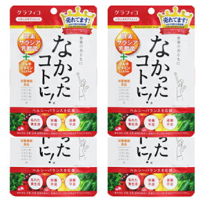 OtBR y4ZbgzȂRgɁIVM126y[ցz(4571169854880-4)