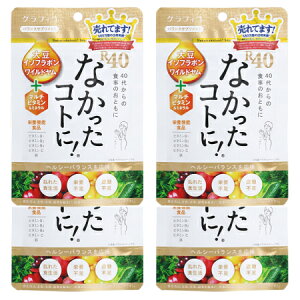 y4ZbgzOtBR@ȂRgɁIR40 VM120y[ցz(4571169854910-4)