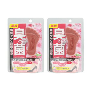 y򕔊OiztbgW ptbg\[v NA[Y 65gy2Zbgzy񂹁z(4571169854750-2)