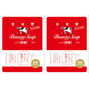 JEuhԔ Ƒ傫 125g×2y2Zbgz(4901525011266-2)