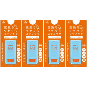 } ZXeBbN 17gy4Zbgz(4956962132739-4)