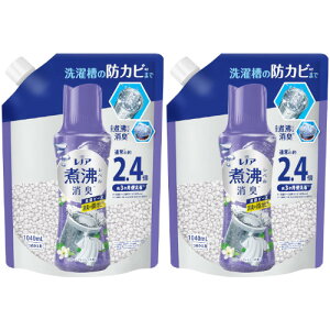 【2個セット】レノア煮沸レベル消臭抗菌ビーズ 洗濯槽の防カビ クリーンフレッシュの香りつめかえ用特大 1040ml(4987176247476-2)