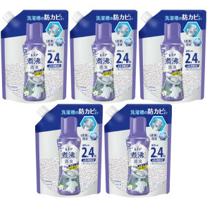 【5個セット】レノア煮沸レベル消臭抗菌ビーズ 洗濯槽の防カビ クリーンフレッシュの香りつめかえ用特大 1040ml(4987176247476-5)