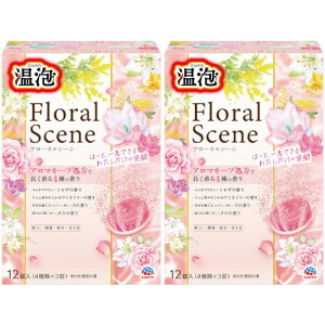 A t[V[ 12(4×3)y2Zbgz(4901080213310-2)