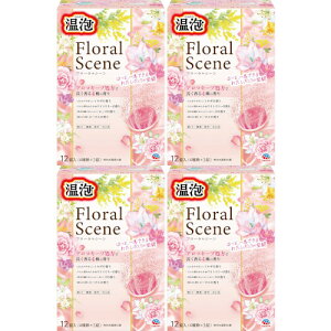 A t[V[ 12(4×3)y4Zbgz(4901080213310-4)