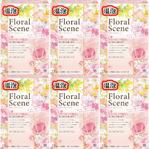 A t[V[ 12(4×3)y6Zbgz(4901080213310-6)