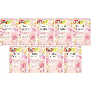 A t[V[ 12(4×3)y9Zbgz(4901080213310-9)