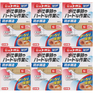 jbR[o WP NoD501 STCY 20y6Zbgzy[ցz(4987164133002-6)