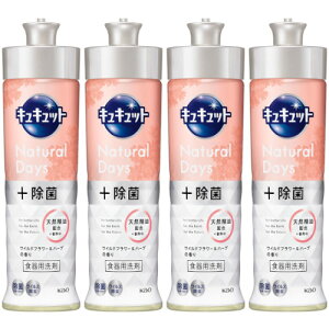 y4ZbgzLLbg Natural Days{ Cht[n[u̍ { 220ml(4901301433992-4)