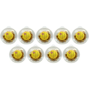 y9ZbgzǗh{m 3̃oii`bvX 100g(4537221216522-9)