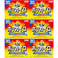 ホッカイロ 貼るレギュラー 30個入【6個セット】(4987067827008-6)