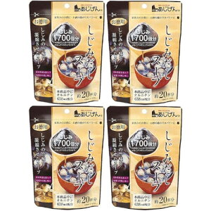 ݂X[v 110gy4Zbgzy[ցz(4946763020953-4)