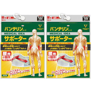 【2個セット】バンテリンコーワサポーター 腰用しっかり加圧タイプ ゆったり大きめサイズ 1枚(4987067464203-2)