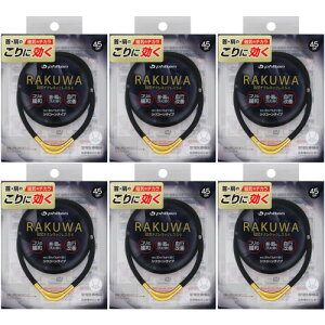 【6個セット】RAKUWA磁気チタンネックレスS−II 45cm ブラック/ゴールド【メール便】(4940756433461-6)