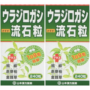 �E���W���K�V���Η� 240���y2�Z�b�g�z(4979654026314-2)