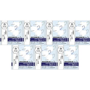 y7Zbgzʗ̃}XN ANZgJ[ 3FZbg 30(4570084520771-7)