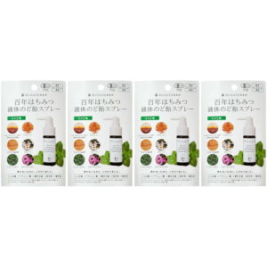 y4ZbgzSN݂͂t̂̂ǈXv[ ~g 25ml(4528636980399-4)