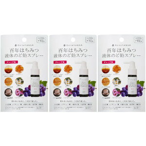 y3ZbgzSN݂͂t̂̂ǈXv[ O[v 25ml(4528636980412-3)