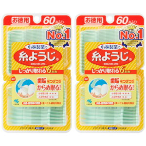 糸ようじ 60本【2個セット】【メール便】(4987072025895-2)