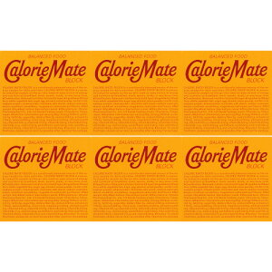 y6ZbgzJ[Cg ubN `R[g 4{y[ցz(4987035092216-6)