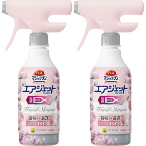 y2ZbgzoX}WbN GAWFbg EX t[V[̍ { 390ml(4901301453259-2)