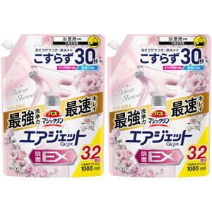 y2ZbgzoX}WbN GAWFbg EX t[V[̍ ߂p 1000ml(4901301453273-2)