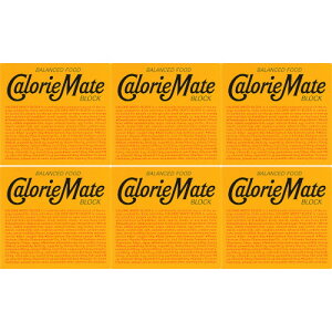 y6ZbgzJ[Cg ubN `[Y 4{y[ցz(4987035090113-6)