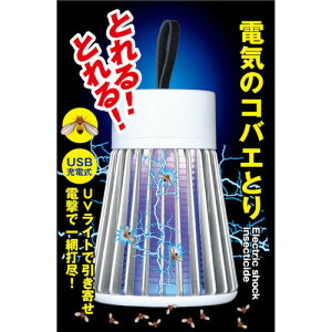dC̃RoGƂ(4949176160988)