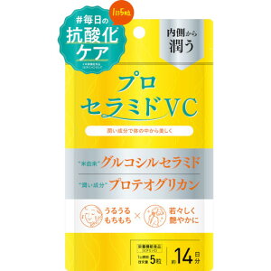 �v���Z���~�hVC 70���y���[���ցz(4571199025311)