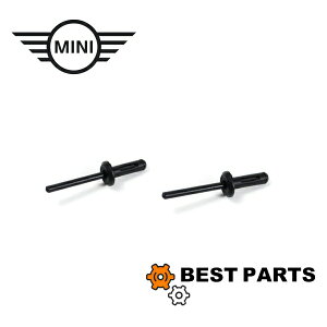 新品 BMW MINI フロントスポイラーリベット ブラインドコンプレッションリベット 2個 51118222901 純正 ポスト投函