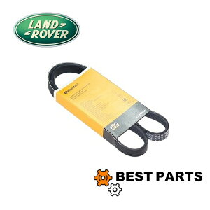�V�i �����W���[�o�[ �h���C�u�x���g 3rd LM �T�[�h�����W���[�o�[ 4.4 V8 M62�G���W�� PQS000220 ����OEM