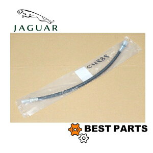 Vi WK[ tgu[Lz[X MK1/2 /STYPE/ CLASSIC C13686 pЊOi