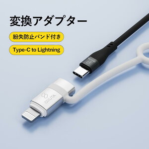 yViziphone ϊA_v^ CgjO^CvC ϊA_v^[ Type-C to Lightning usb type|c }[d iphone [d P[u ACtH 14 14plus 13 mini pro max 12 12mini SE2 11 X XS XR 8 7 6 iPad