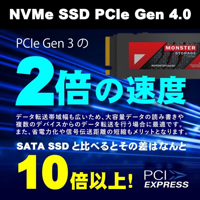 楽天市場】【ポイント5倍アップ】Monster Storage SSD 2TB
