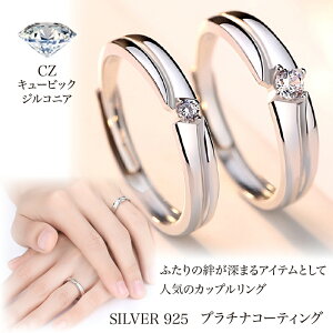 yAO yA Vv l i O zCgf[ w l fB[X Y Vo[925 Mtg v[g a LO t[TCY\