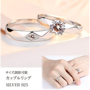 yA l i𐾂 yAO o^Cf[ w l fB[X Y Vo[925 Mtg v[g a LO t[TCY\