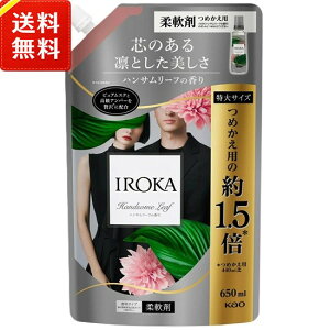 �t���A �t���O�����X IROKA �_��� �n���T�����[�t�̍��� �l�ߑւ� ��T�C�Y 650ml
