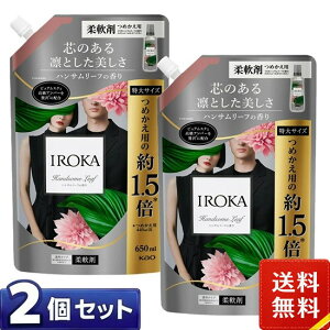 �t���A �t���O�����X IROKA �_��� �n���T�����[�t�̍��� �l�ߑւ� ��T�C�Y 650ml×2�܃Z�b�g