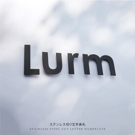 【必要な文字数でご注文してください】表札 ステンレス 切り文字 バラ文字 50角 80角 100角 各種切り文字の製作 切り文字 表札 アイアン風 アルファベット 大文字 数字 ローマ字 切文字看板デザイン切り文字 英数字 gs-nmpl-ks-eng