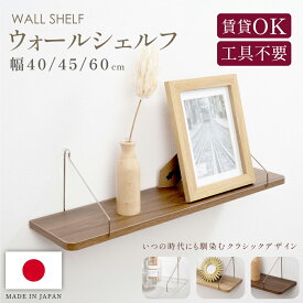 ウォールシェルフ 天然木 アクリル 45cm 60cm 壁掛け棚 石膏ボード 取付簡単 飾り棚 アイアン 本棚 シェルフ DIY 木製 シンプル トイレ おしゃれ 写真 ワイヤー付け 収納 ラック 壁を傷つけない 収納便利 送料無料 tks-td15