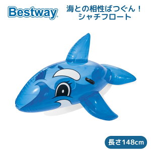 Bestway V` ChI t[g  v[ C nht 3Έȏ qp q LbY xXgEFC 148×84×68cm 41037