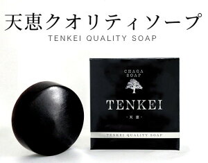 【正規取扱店】天恵クオリティソープ 80g 100%植物由来 無添加 化粧石けん 天恵石鹸 固形石けん 樺のあな茸 自然素材 自然派 オーガニック 天然保湿成分 保湿成分 正規品 プラスケア 化粧石鹸