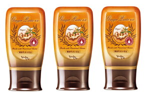 【3本セット】【正規取扱店】 ヴェーダヴィ ジンジャーペーストEX vedavie 生姜ペースト ジンジャー ハチミツ 生姜 しょうが ショウガ ショウガオール 夏 冷房冷え対策 春 秋 冬 冷え対策 低体