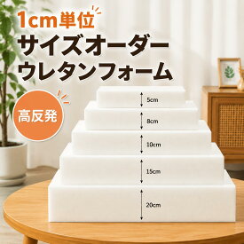 【1cm単位オーダー】ウレタンフォーム オーダーメイド 高反発 希望サイズ販売 ウレタンスポンジ カスタマイズ ウレタン座布団 45D 芯 中芯 芯材 中材 ベンチクッション 劣化しにくい 座布団 ロングクッション チェアパッド お尻痛くない 厚み自由 クッション材 DIY