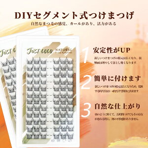 ���܂� �����p ���܂� �i�`������ �������܂� ���� ���܂� ���� ���R ��e�� ������܂��iSunFlower 02�j