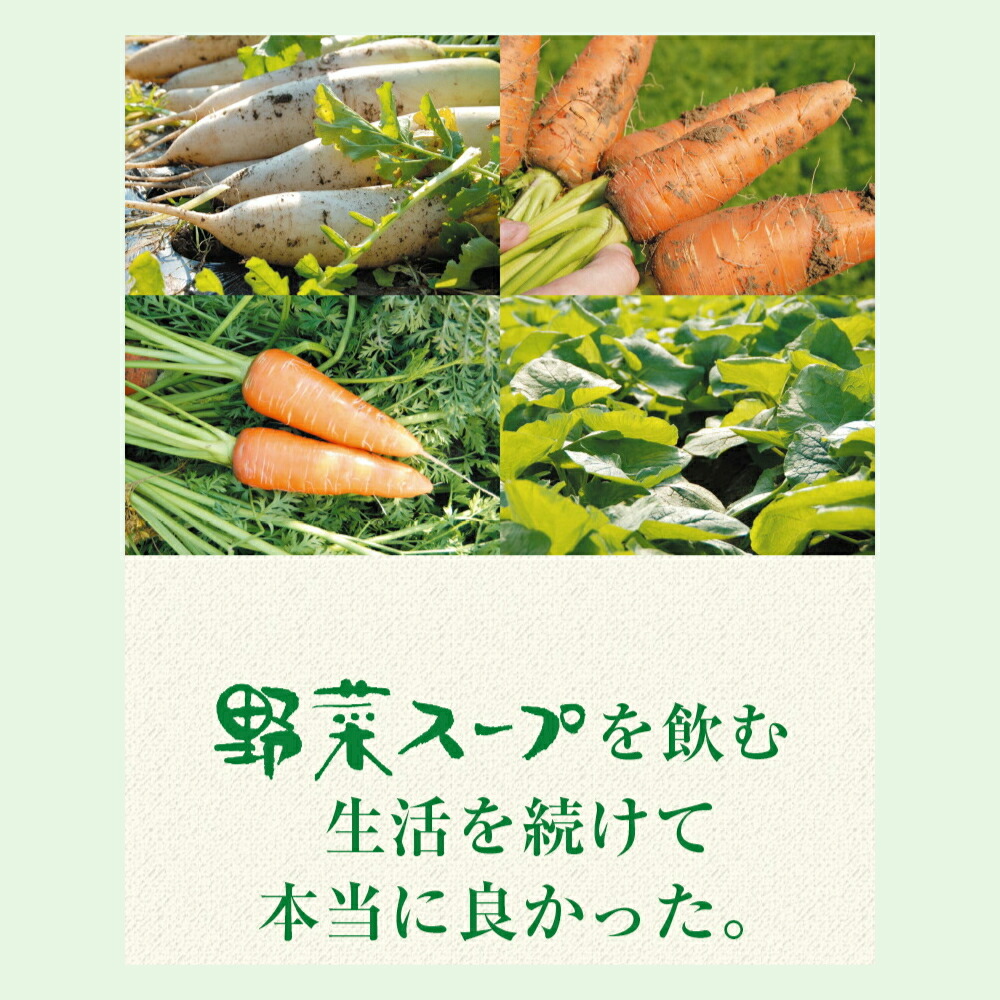 再再販自然の恵み 野菜スープ 245g×1箱（30缶） 野菜煮汁 無添加 ベータ食品 健康食品