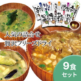 インスタント みそ汁三昧 ＜9種類＞ 送料無料 お試し 化学調味料無添加 食品 おみそ汁 インスタント味噌汁 即席味噌汁 お味噌汁 フリーズドライ みそ汁 メール便 [M便 1/1]